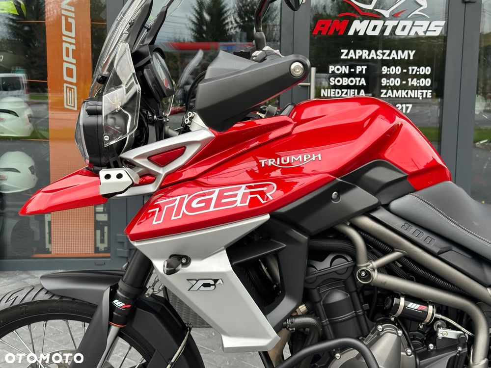 Triumph Tiger - 34