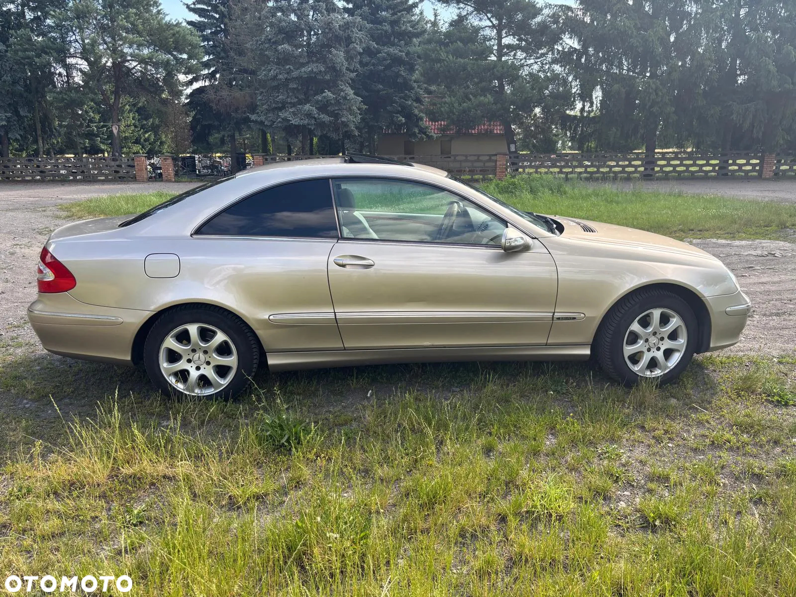 Mercedes-Benz CLK - 13