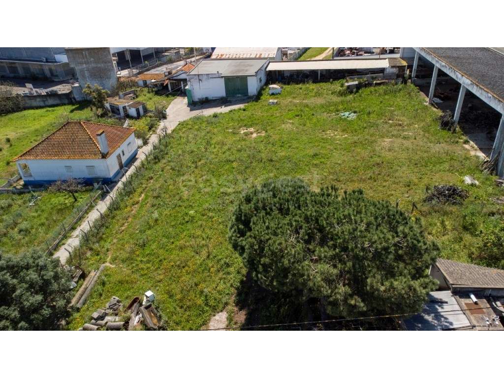 Terreno com 10.700 m2 para construção _industrial_comércio_serviços - Grande imagem: 5/14