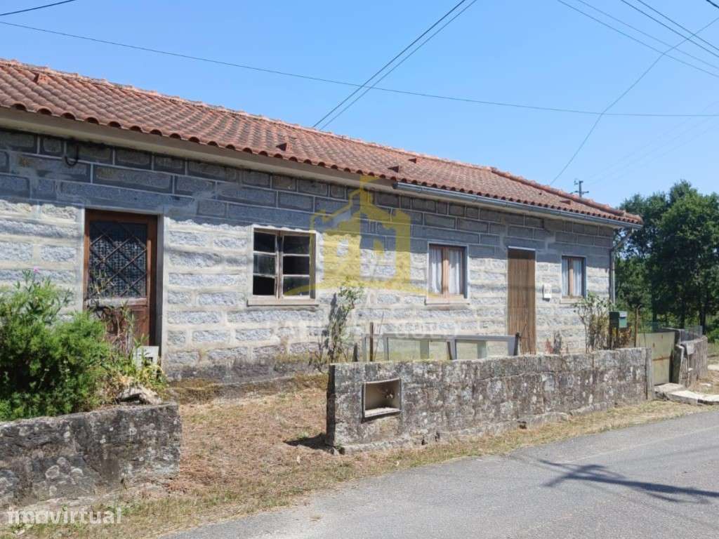 Quintinha, com 7000m2 com 4 artigos, 3 nas casa e 1 no terreno. - Grande imagem: 3/21