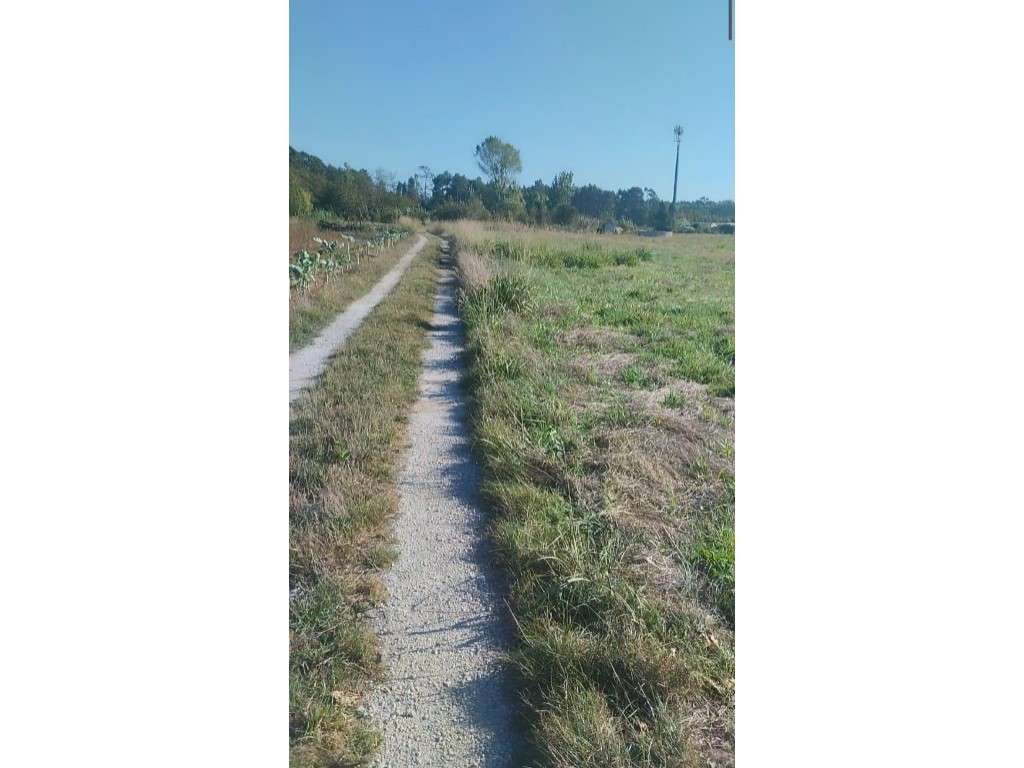 Terreno com grande potencial e excelente localização! - Grande imagem: 2/4