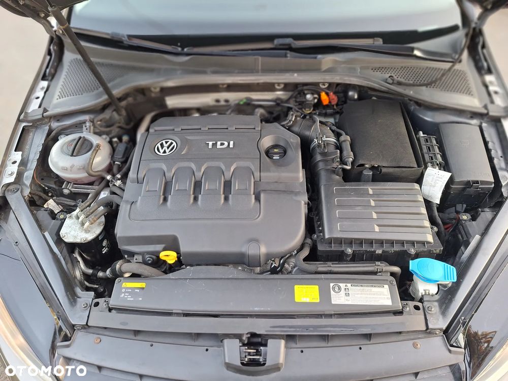 Volkswagen Golf - 16