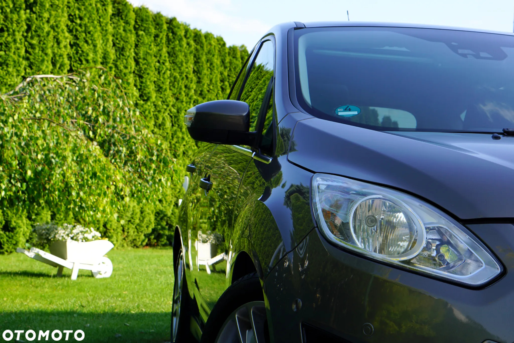 Ford C-MAX 2.0 TDCi Titanium - 25