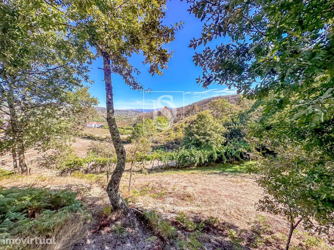 QUINTA COM 14.719 m² – GRILO, BAIÃO - Grande imagem: 4/41