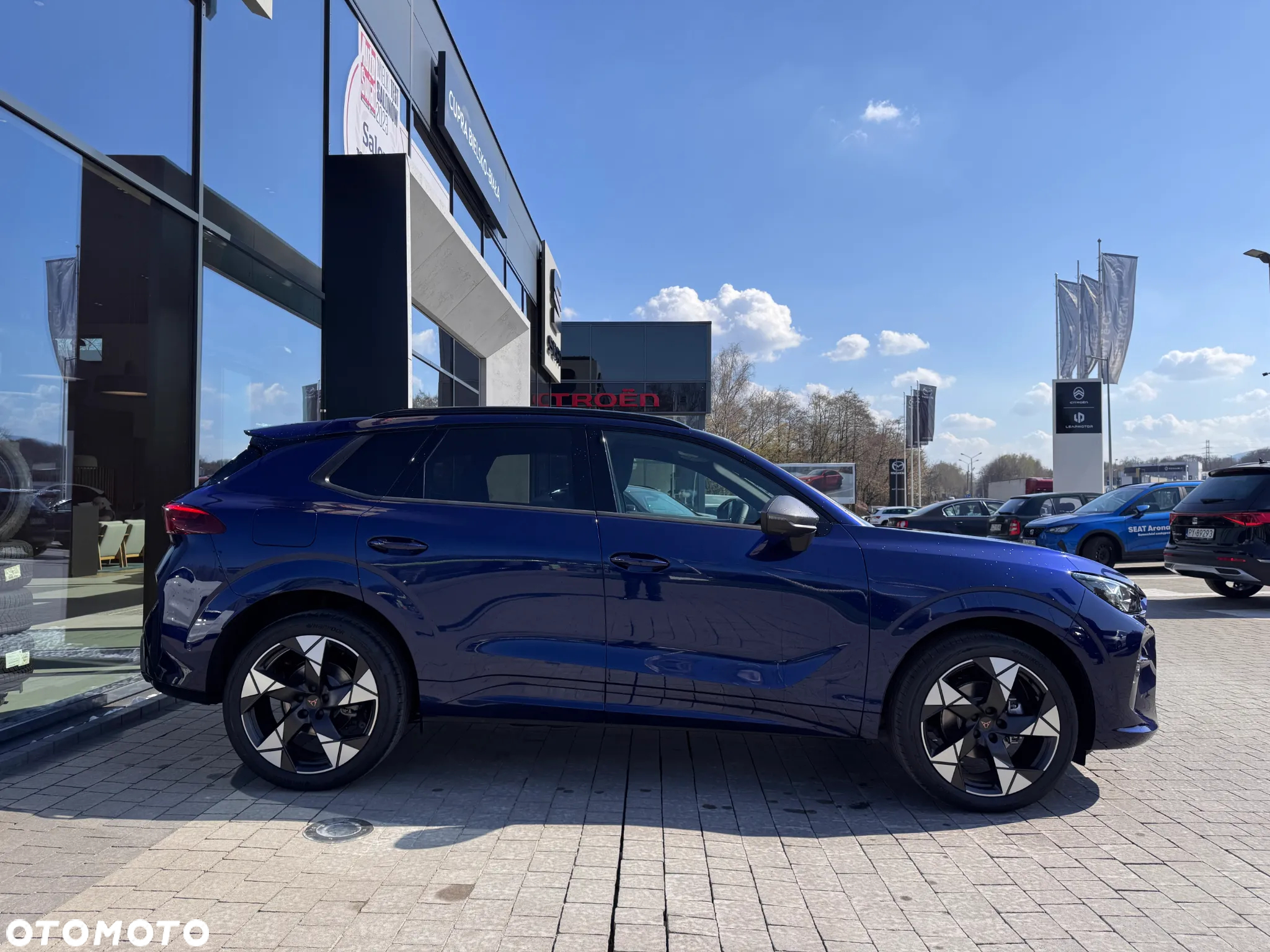 Cupra Terramar 1.5 eTSI mHEV DSG - 4