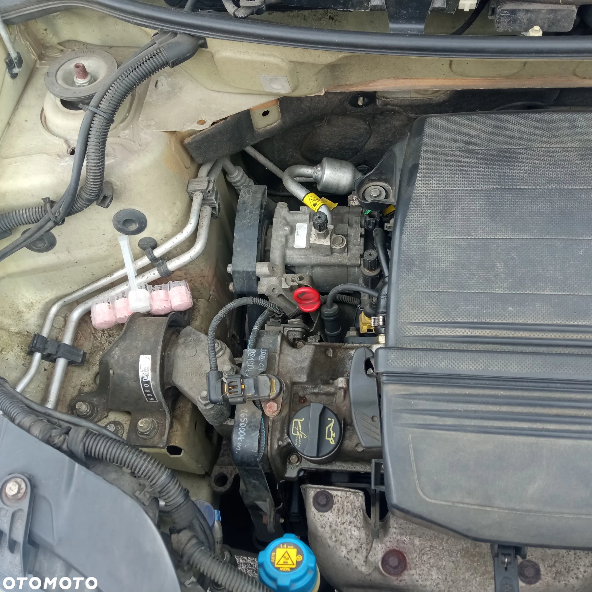 Fiat Panda - 16