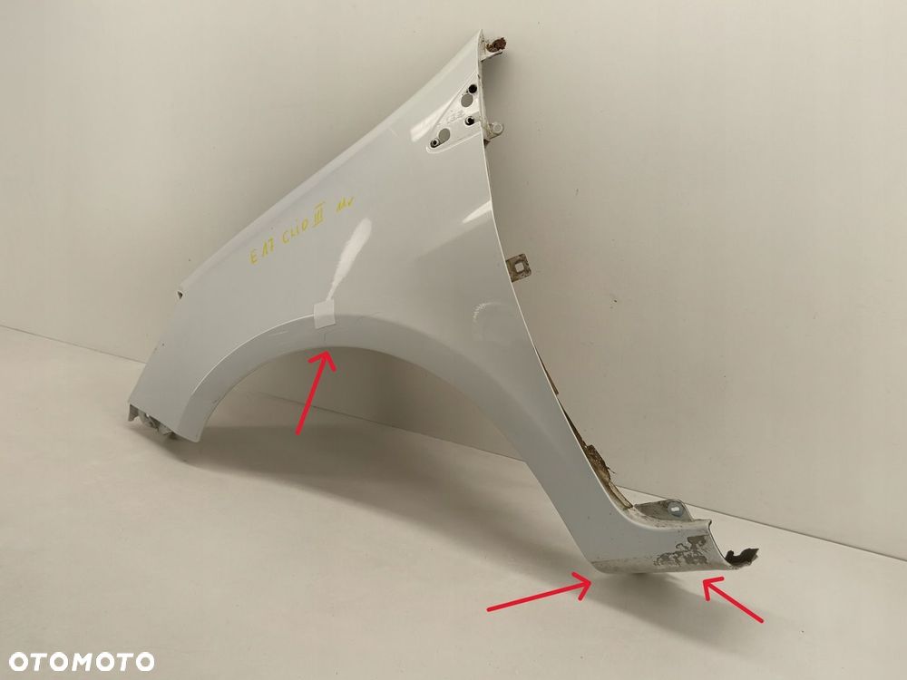 BŁOTNIK LEWY PRZEDNI RENAULT CLIO III 185 - 3