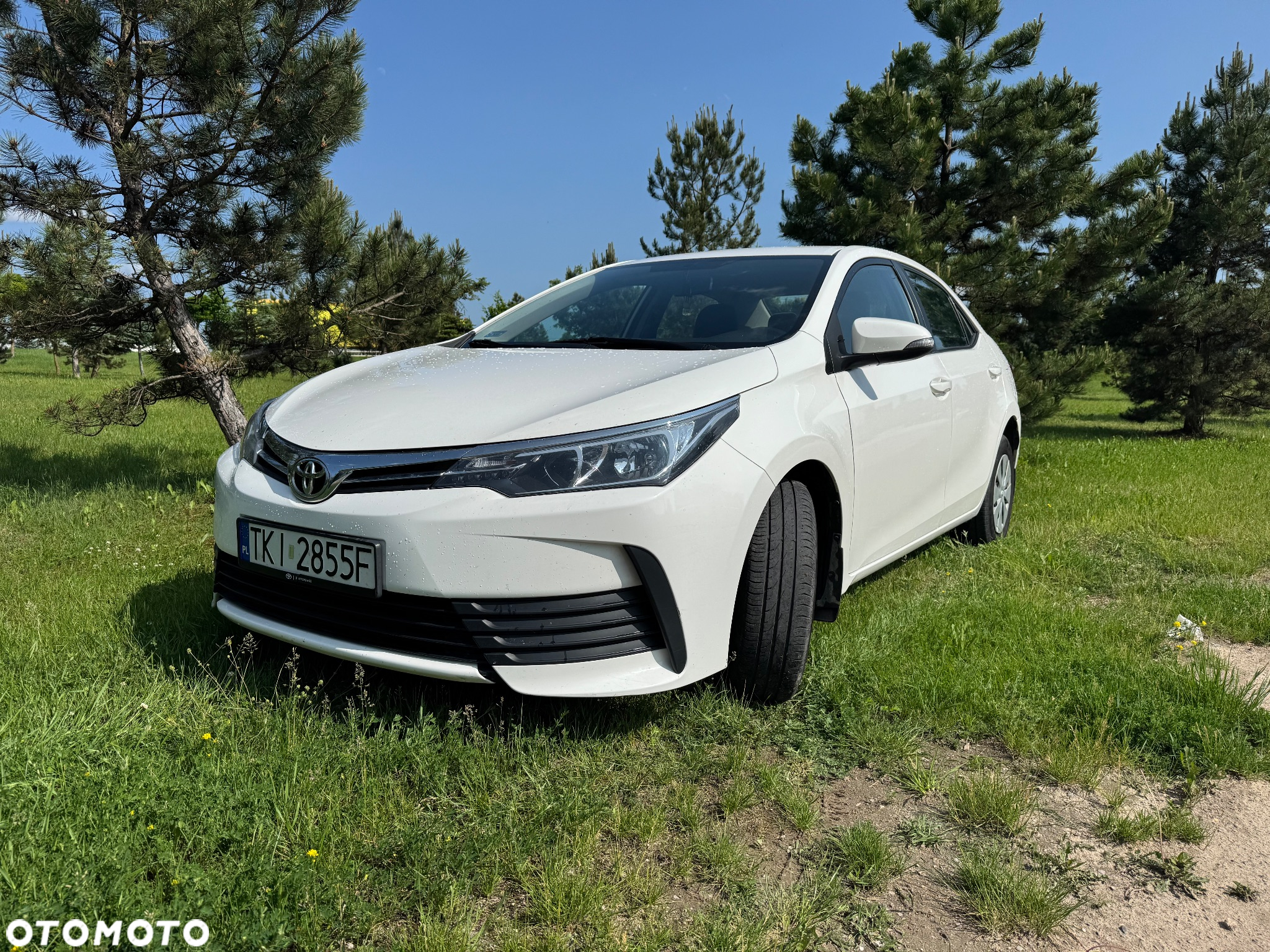 Toyota Corolla 1.6 Comfort - 13