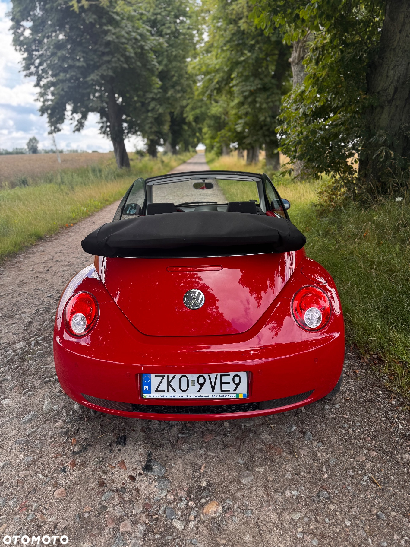 Volkswagen New Beetle 2.0 - 10