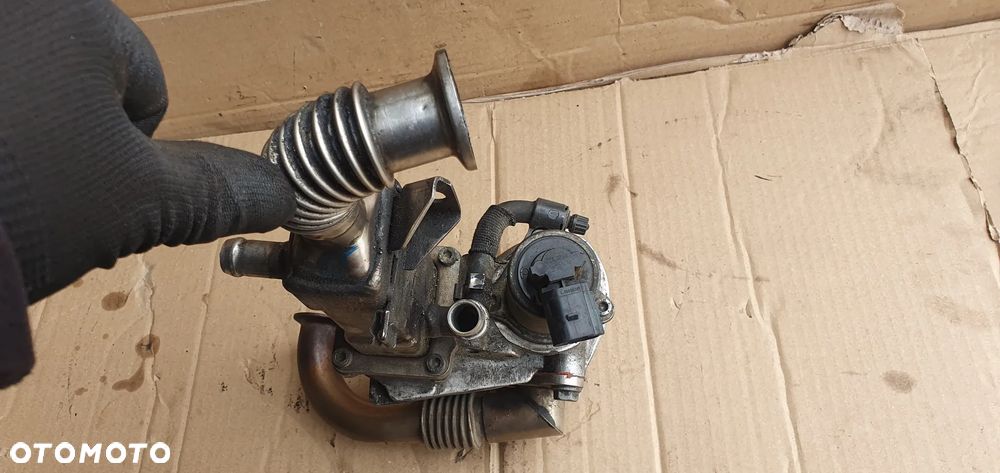 Chłodniczka spalin zawór EGR Renault Scenic 2 1.9 DCI 8200171191D - 8