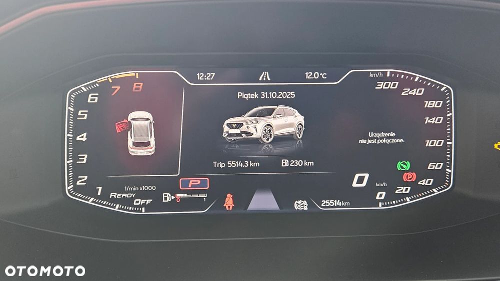 Cupra Formentor - 20