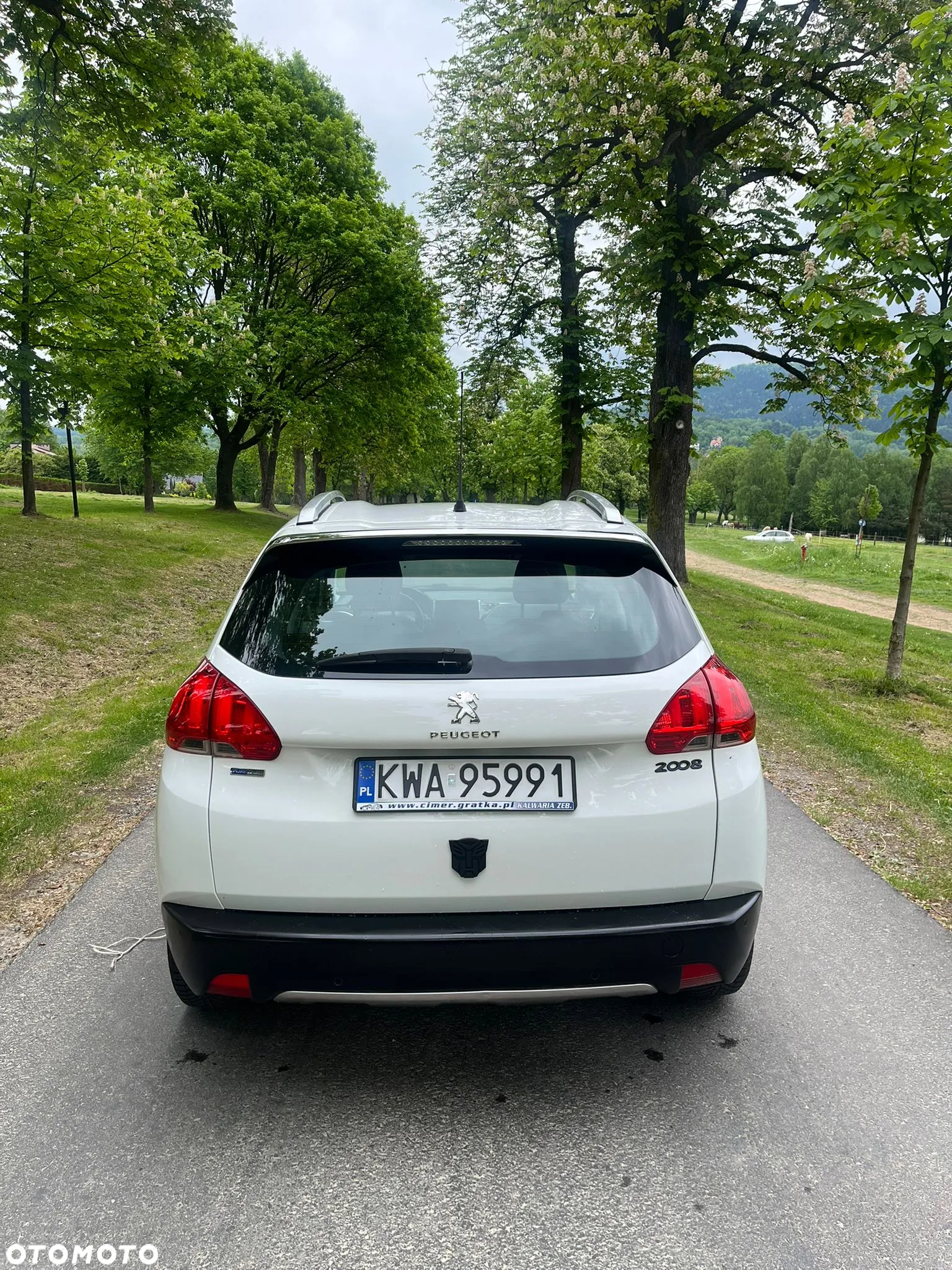 Peugeot 2008 1.2 Pure Tech Style EU6 - 6
