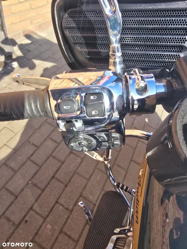 Indian Chieftain - 7