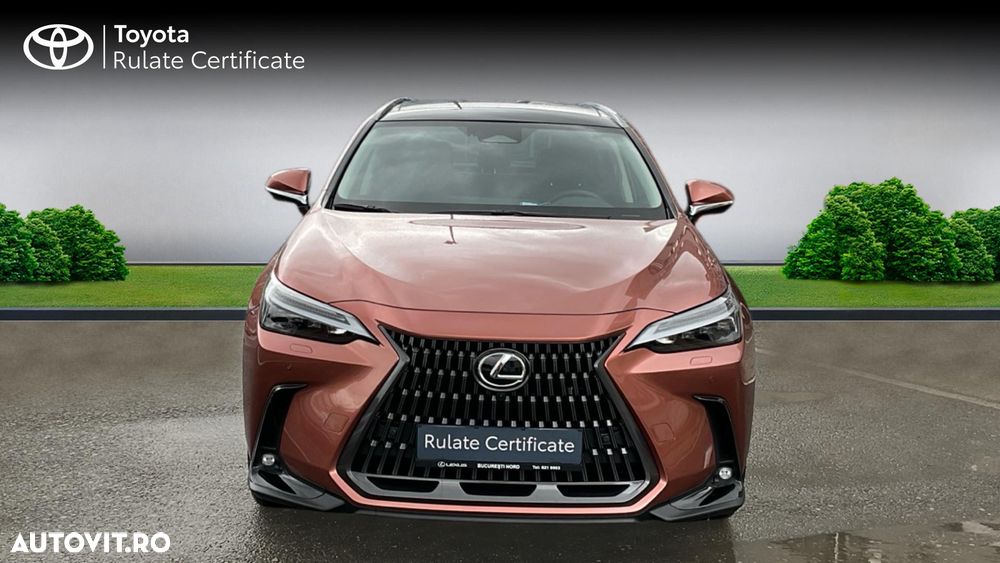Lexus Seria NX 450h+ AWD CVT PHEV Luxury - 5