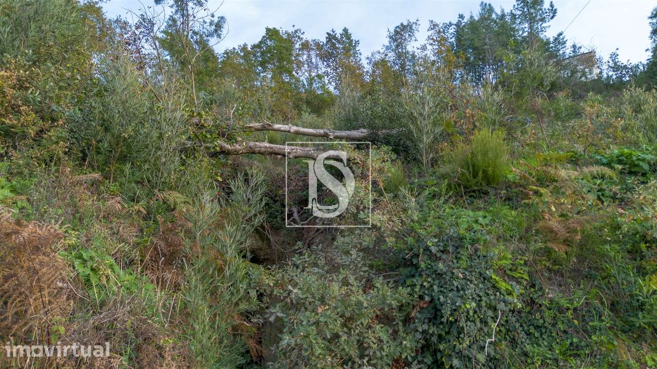 Terreno  Venda em Ansiães,Amarante - Grande imagem: 3/10