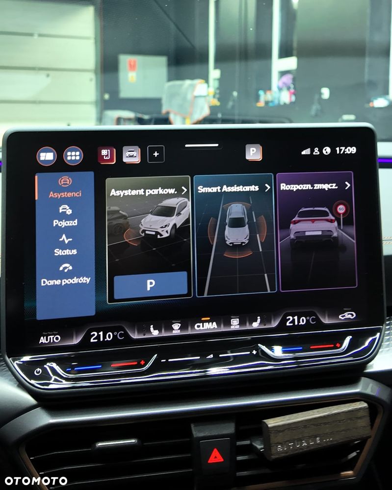 Cupra Formentor 2.0 TDI DSG - 14