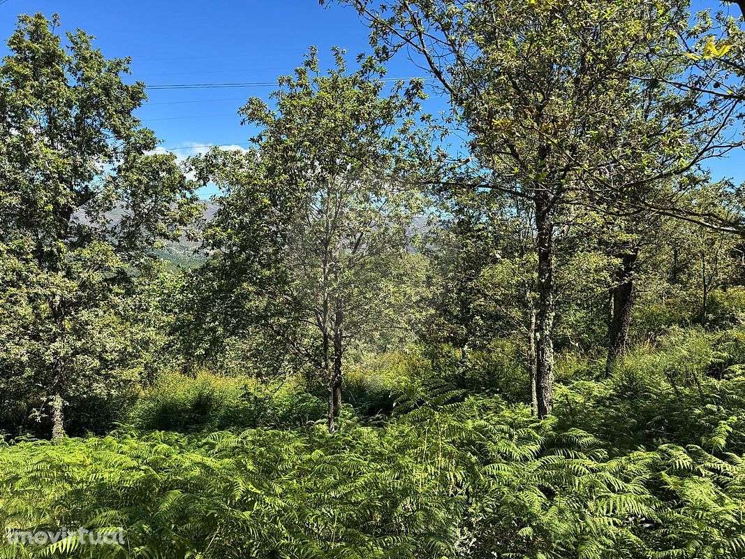 Terreno  para venda - Grande imagem: 3/4