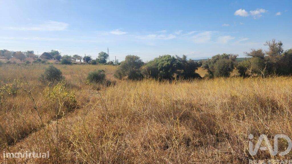 Terreno Agrícola em Algoz e Tunes - Grande imagem: 4/17