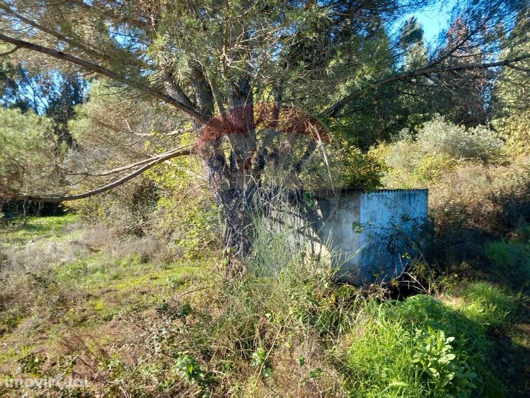 Terreno  para venda - Grande imagem: 3/3