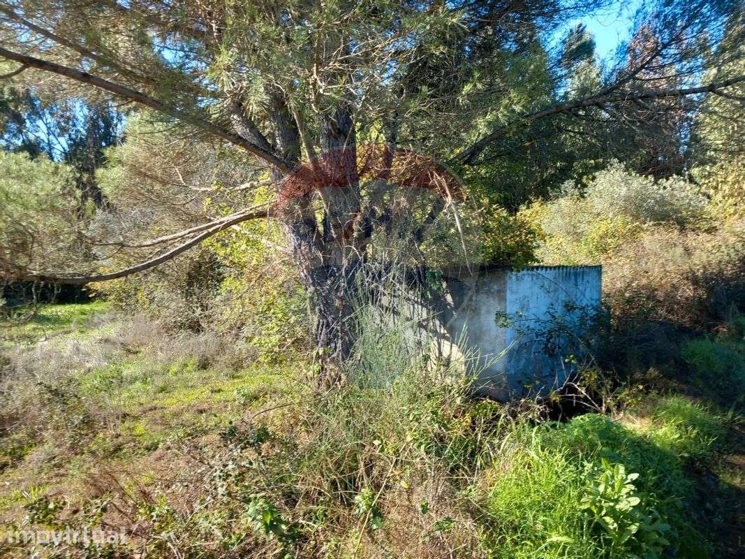 Terreno  para venda - Grande imagem: 3/3