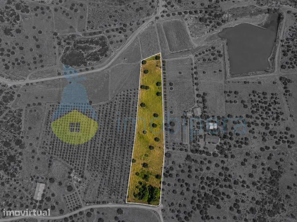 Terreno agrícola para investimento em Algoz - Grande imagem: 2/3