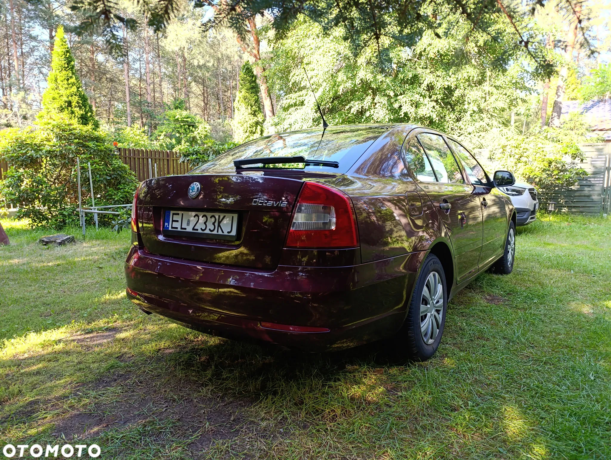 Skoda Octavia 1.2 TSI Classic - 13