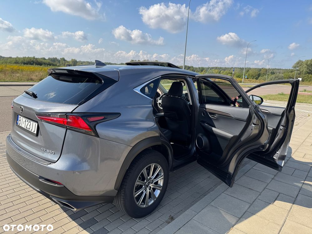 Lexus NX 300 - 21