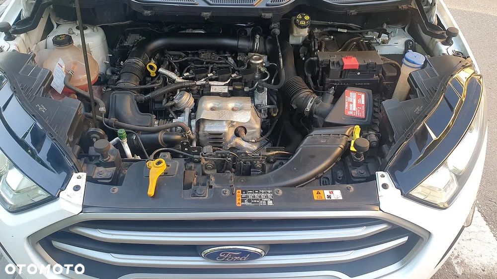 Ford EcoSport 1.0 EcoBoost ST-Line ASS - 32