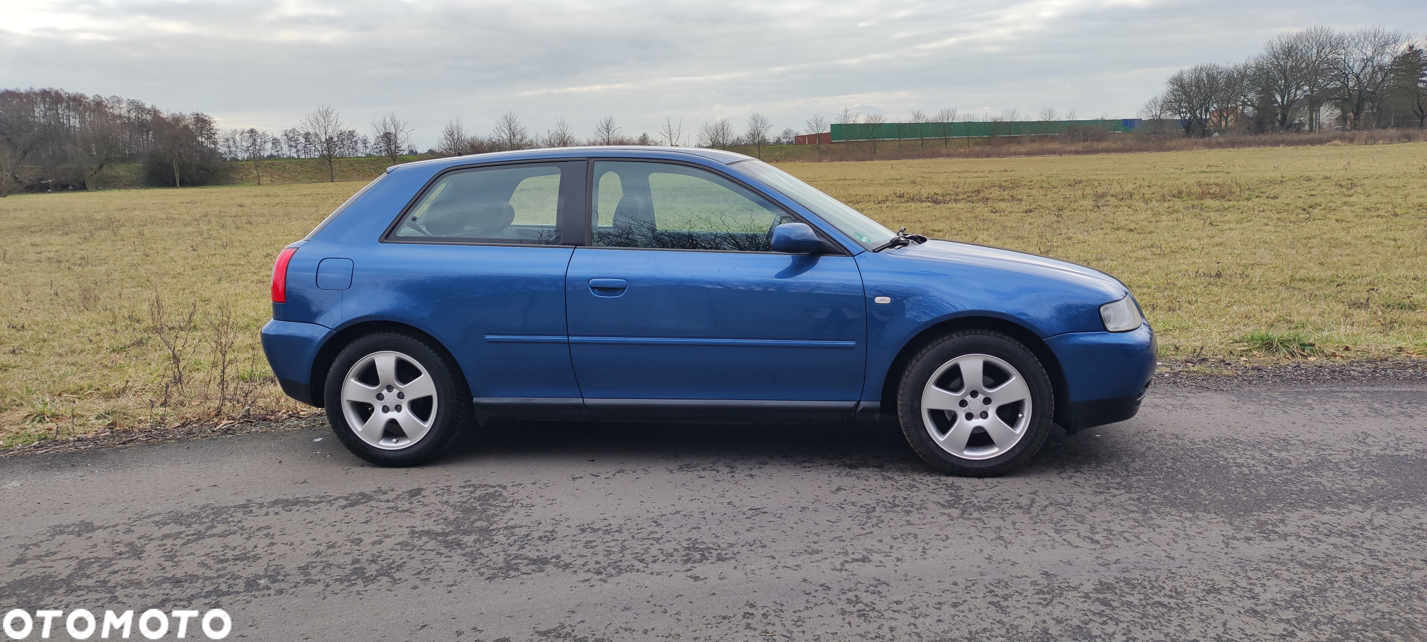 Audi A3 1.6 Ambiente - 5
