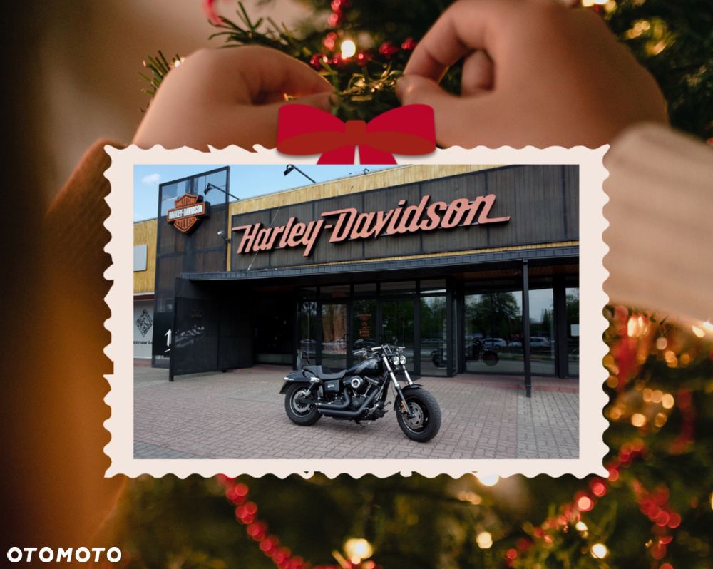 Harley-Davidson Dyna Fat Bob