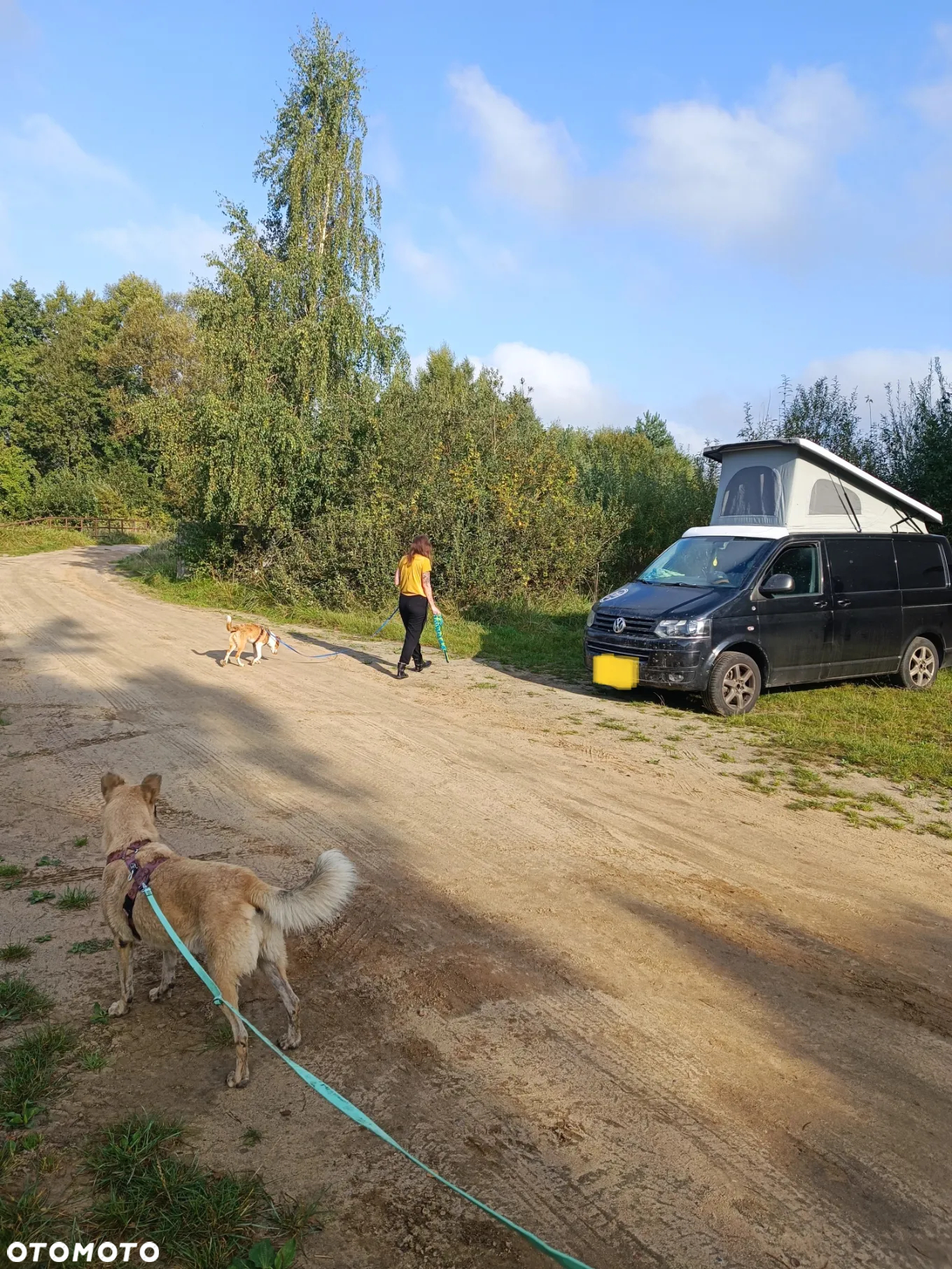 Volkswagen Transporter - 5