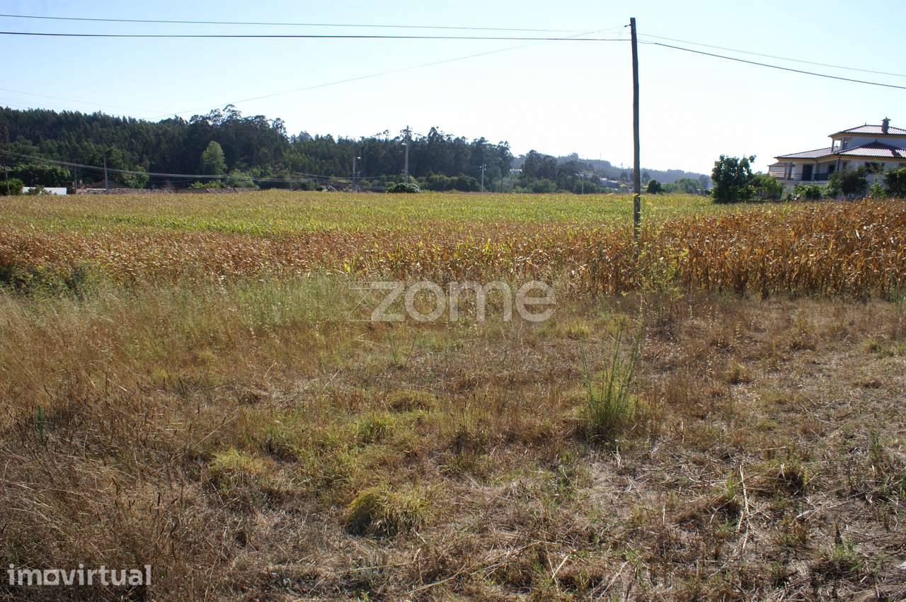 Terreno Urbanizável | Águeda - Grande imagem: 4/16
