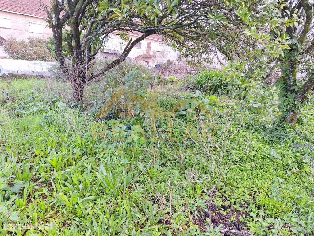 Terreno em Beiriz - Póvoa de Varzim - Grande imagem: 3/7