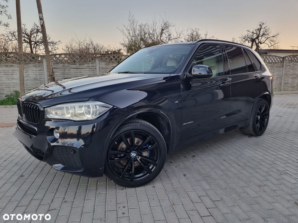 BMW X5 xDrive25d - 20