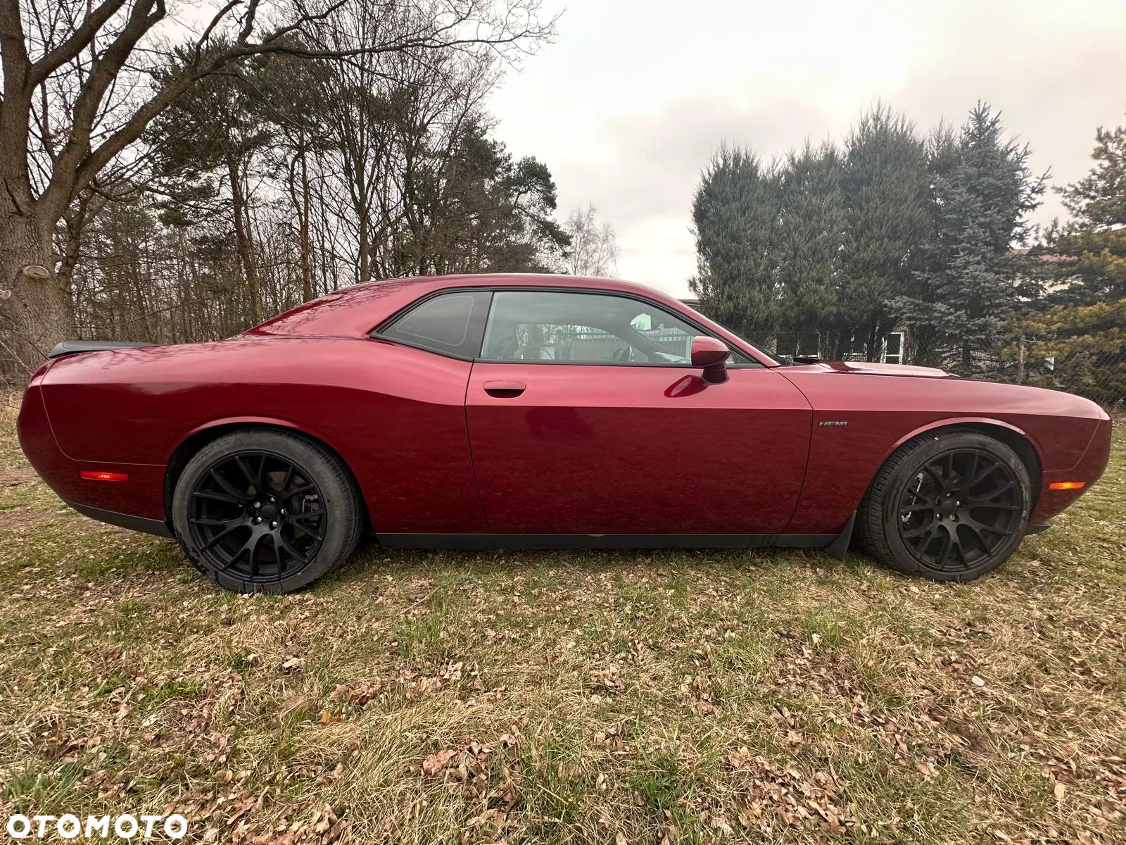 Dodge Challenger Automatik R/T Plus - 2