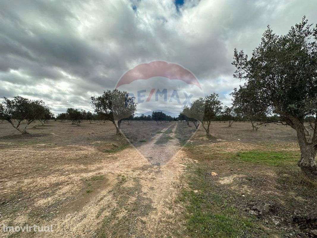 Terreno  para venda - Grande imagem: 2/10