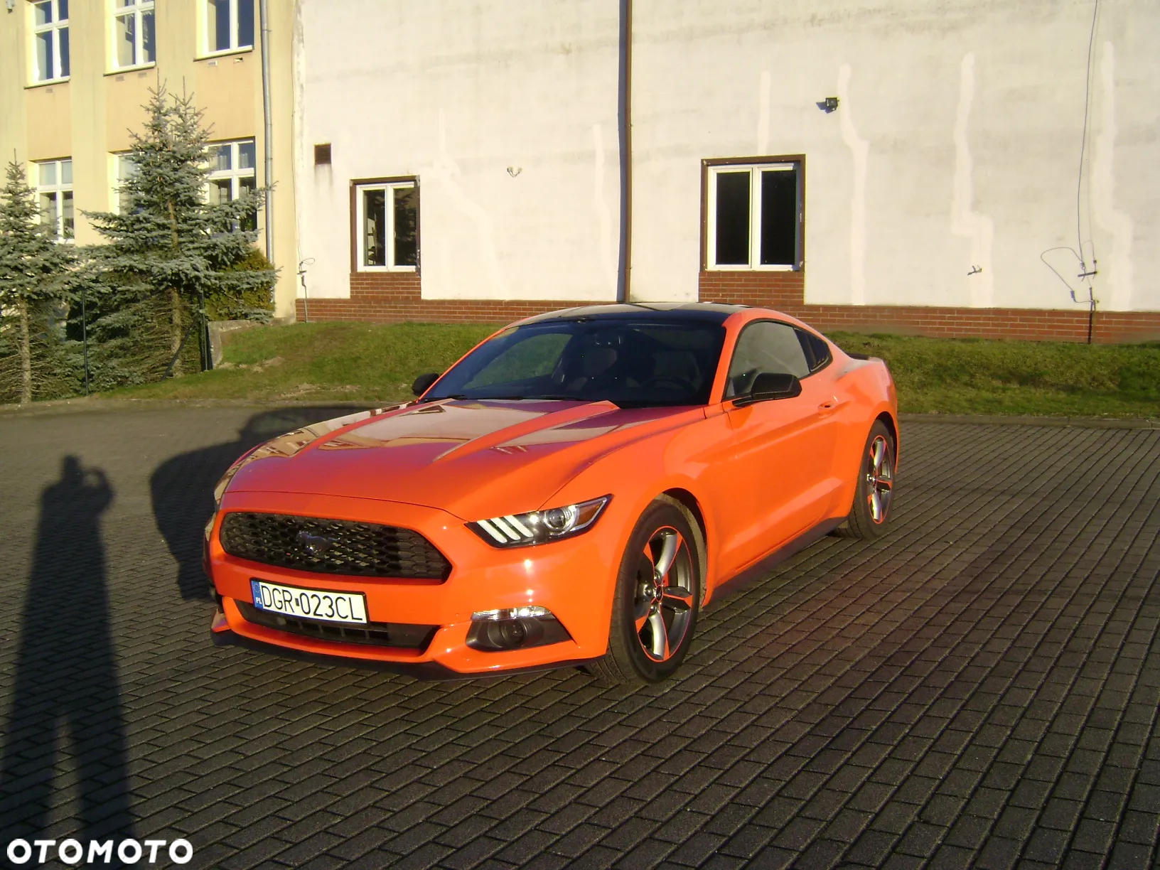 Ford Mustang 3.7 V6 - 10