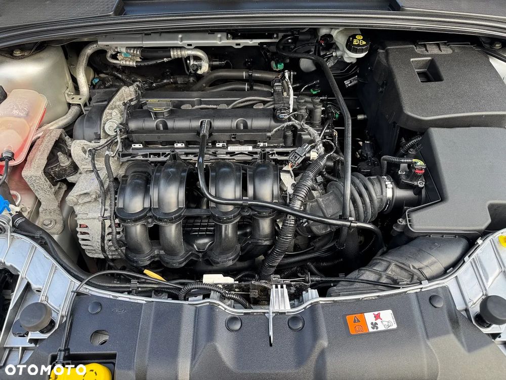 Ford Focus - 38