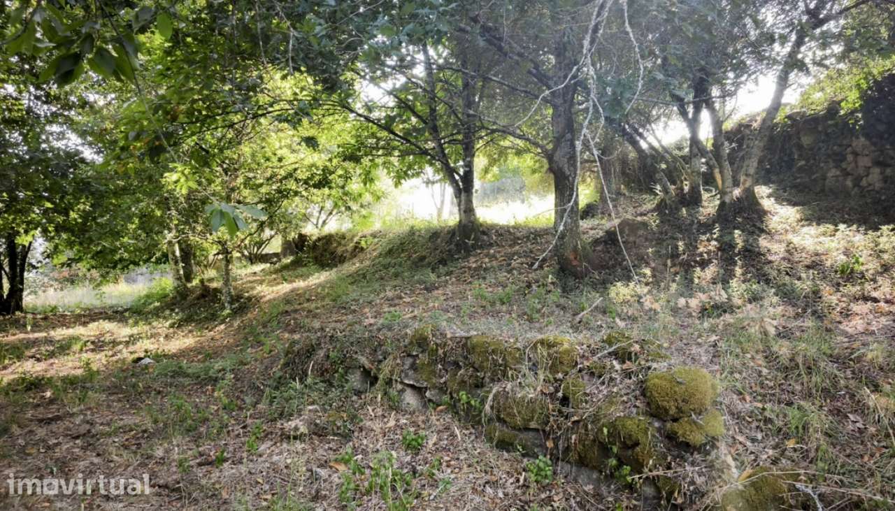 Venda de Terreno, Carvoeiro, Viana do Castelo. - Grande imagem: 4/28