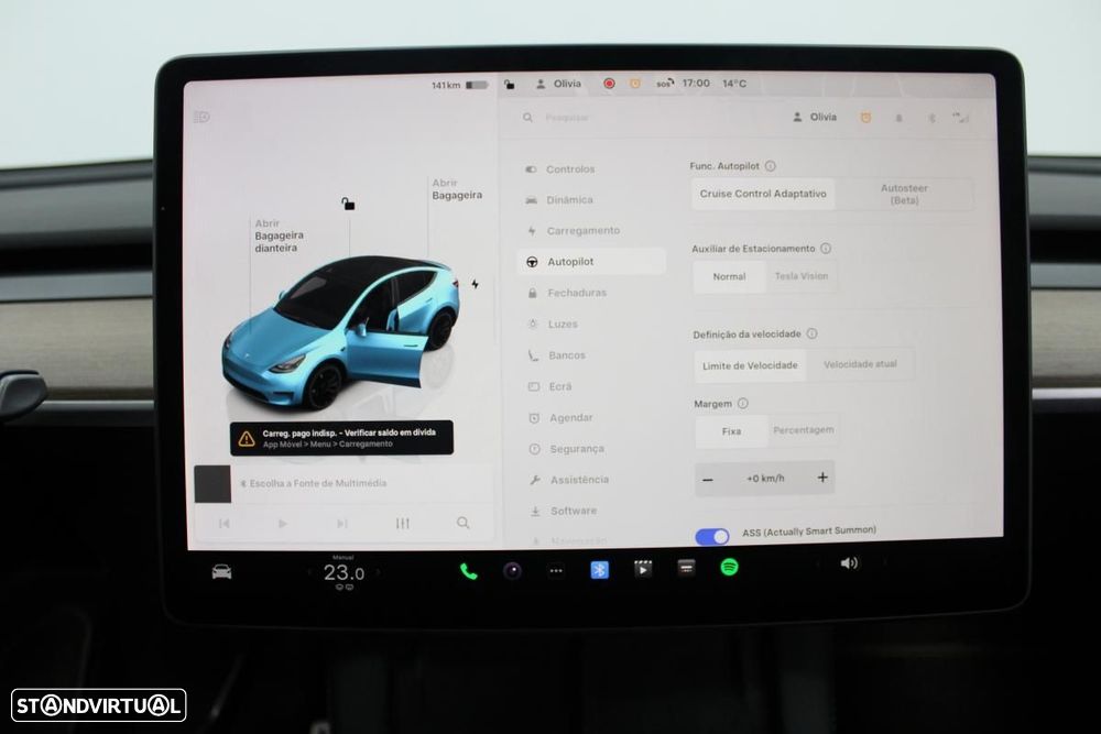 Tesla Model Y Performance AWD - 19