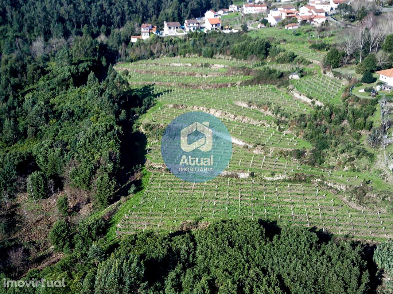 Quinta  Venda em Abragão,Penafiel - Grande imagem: 2/18
