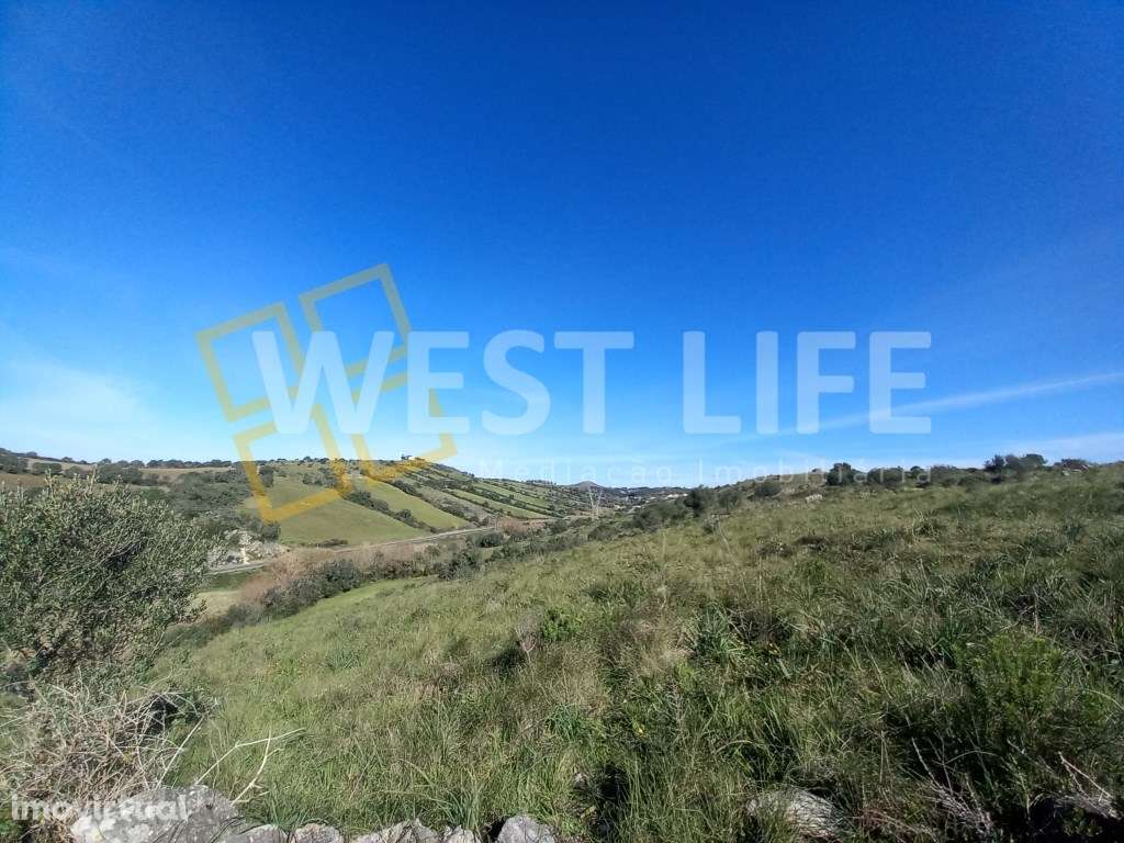 Terreno Rústico de 3562m2 em Santo Estevão das Galés - Grande imagem: 5/11