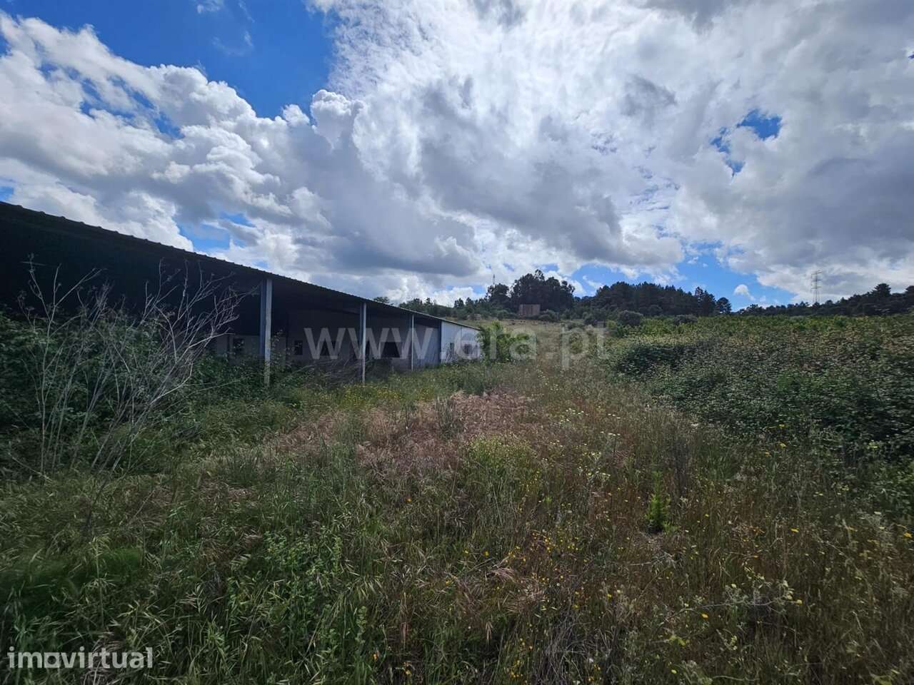 Herdade T3 / Fundão, Catrão - Grande imagem: 4/20