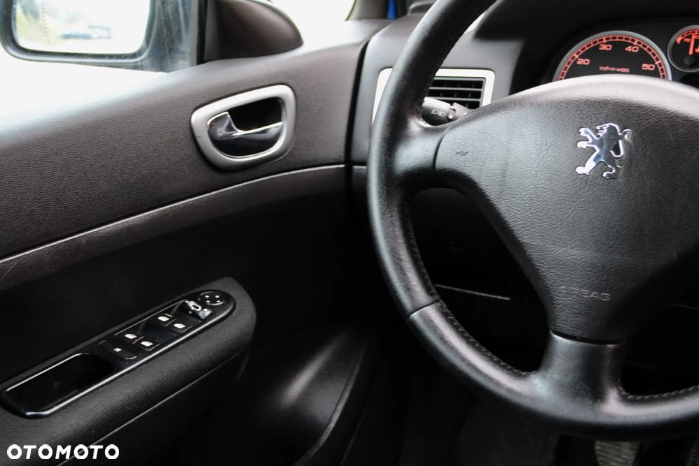 Peugeot 307 2.0 XT Premium - 20