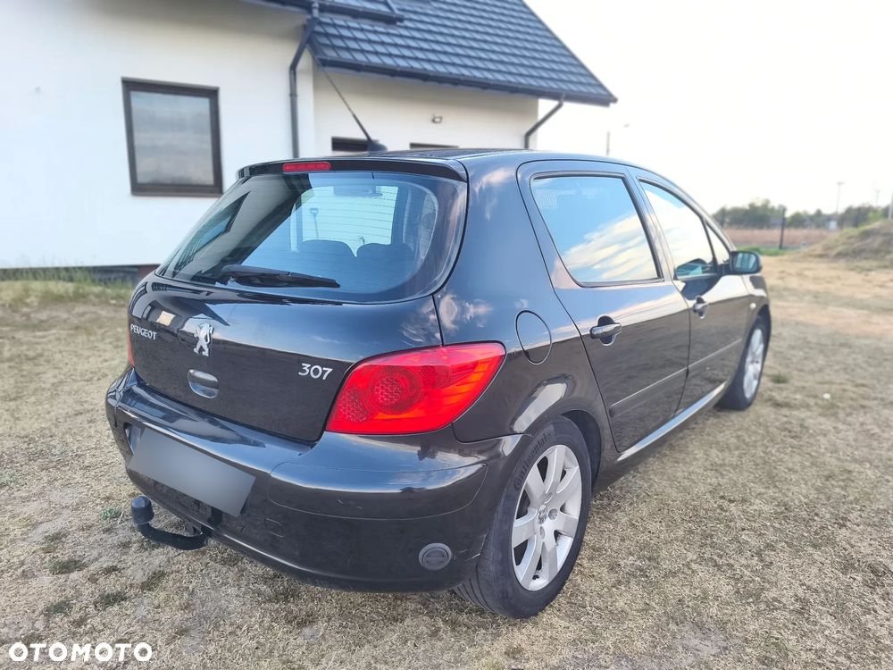 Peugeot 307 1.6 - 12