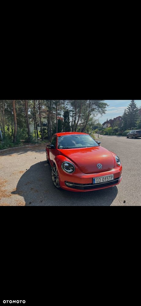 Volkswagen Beetle - 3