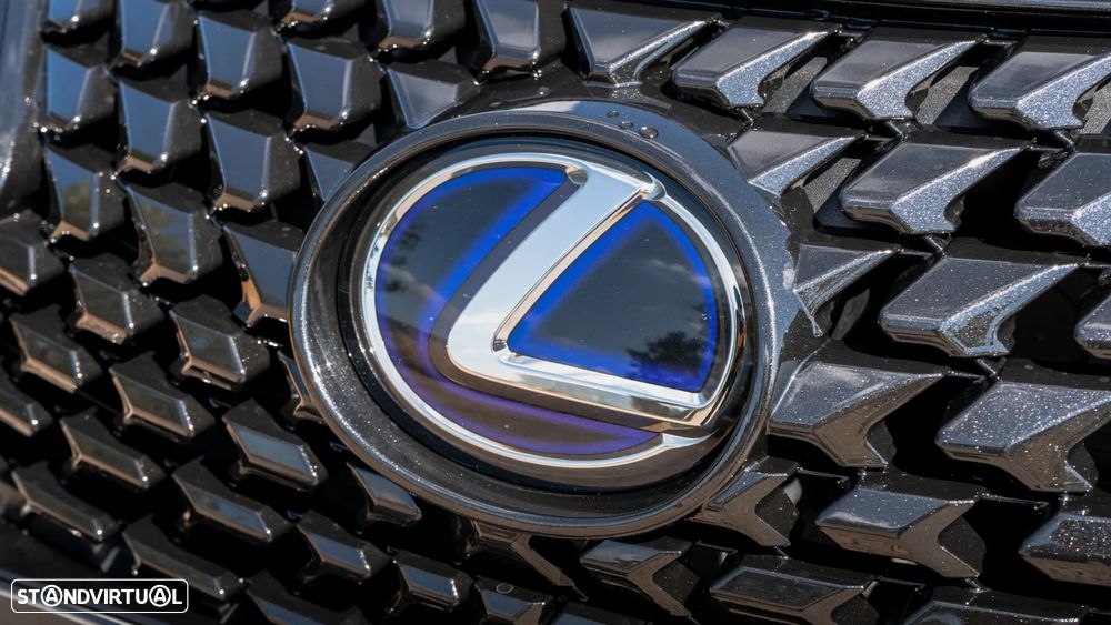 Lexus UX 250h Business - 30