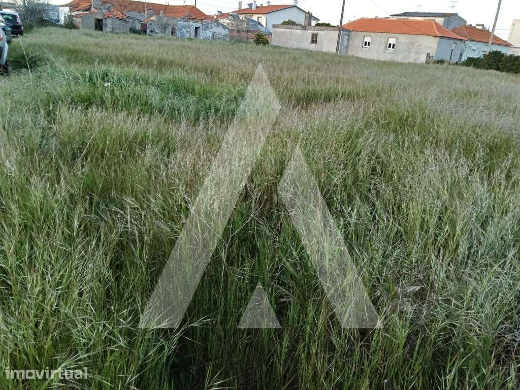Prédio misto composto por moradia antiga e terreno! - Grande imagem: 3/6