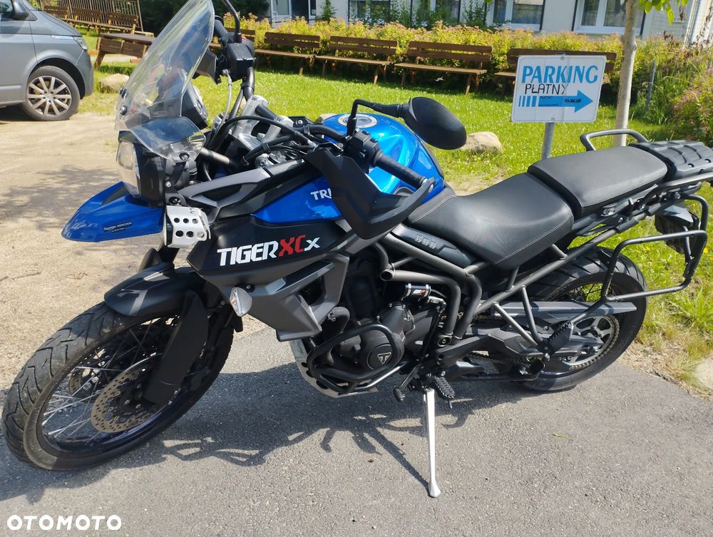 Triumph Tiger - 5