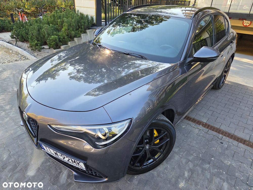 Alfa Romeo Stelvio 2.0 Turbo Veloce Q4 - 21